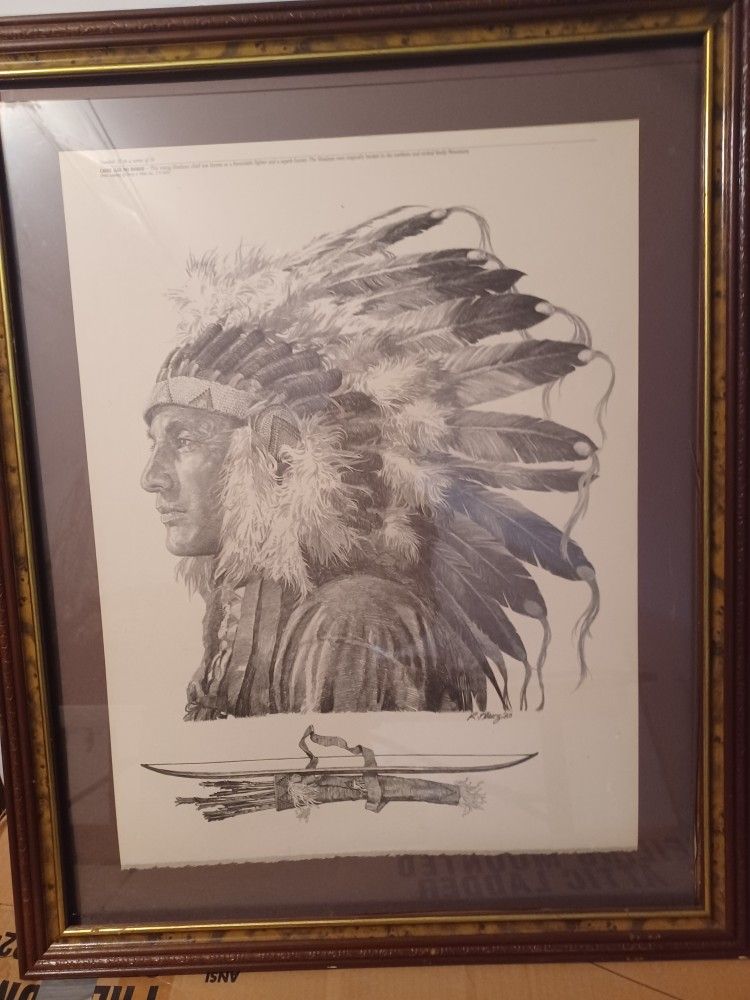 Asst Native American Pictures