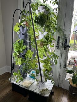 2 Hydroponic Towers With Pumps and Lights