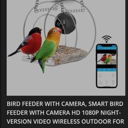 Wireless Camera And Bird Feeder