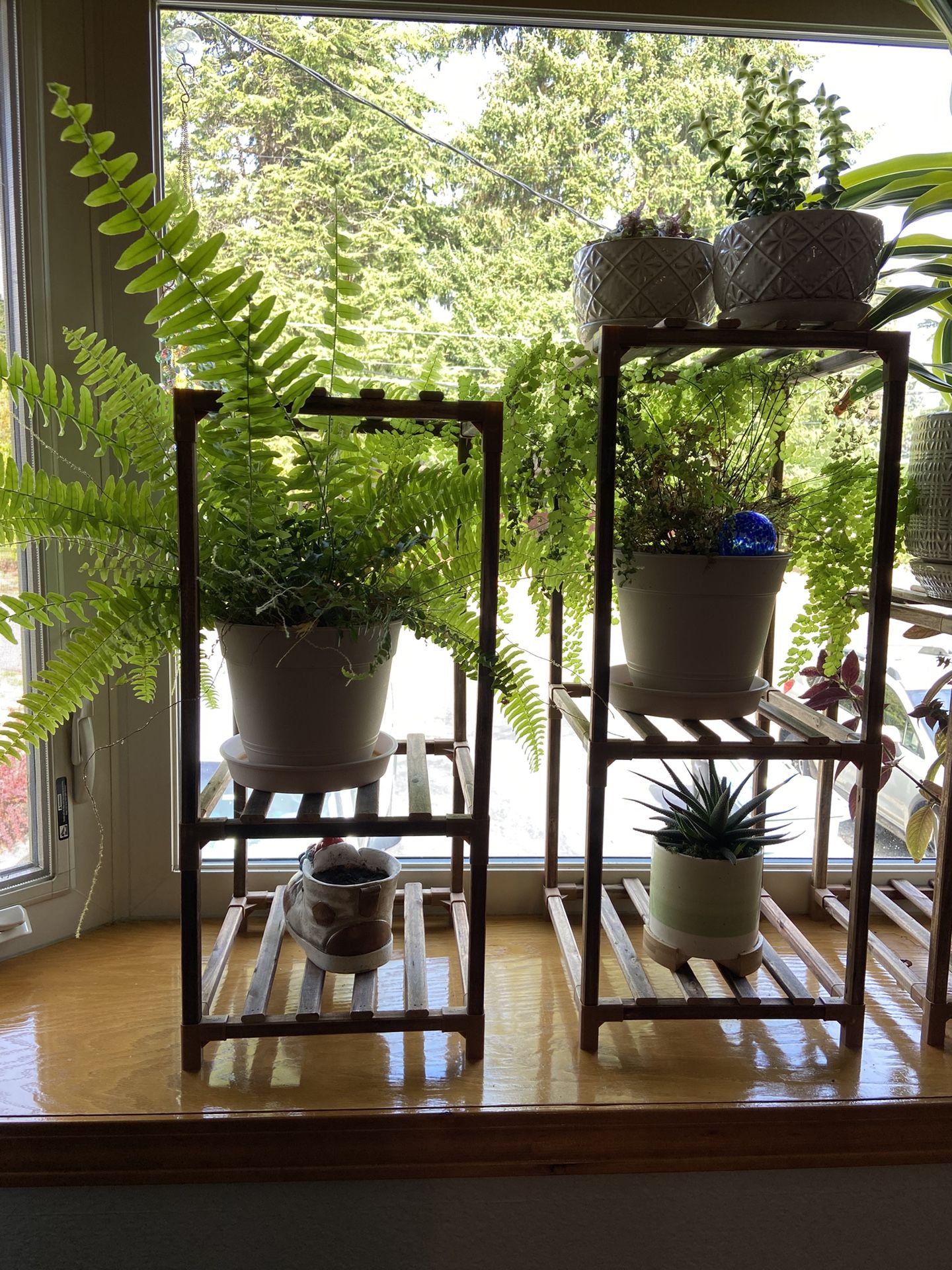 Plants + Stands