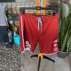 Hurley Team USA Trunks