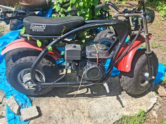 Mini bike