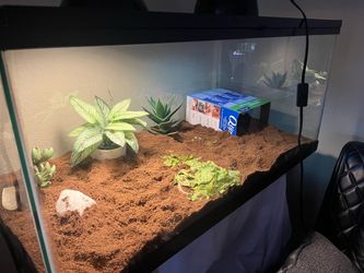 40 gallon Reptile enclosure
