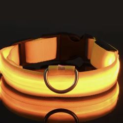 High-Visibility LED Dog Collar – Stay Safe at Night