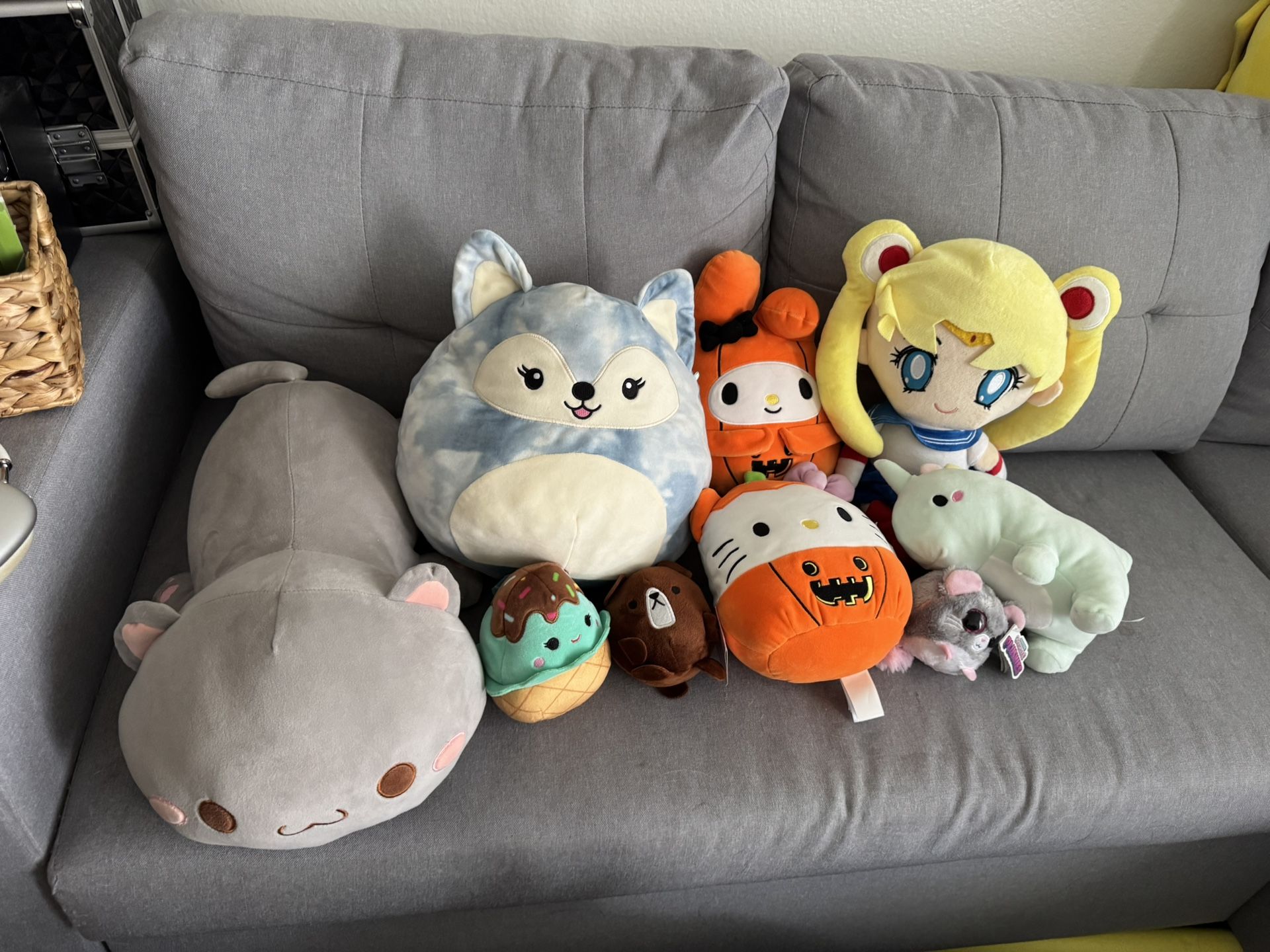 Teddy Bear Bulk Sale