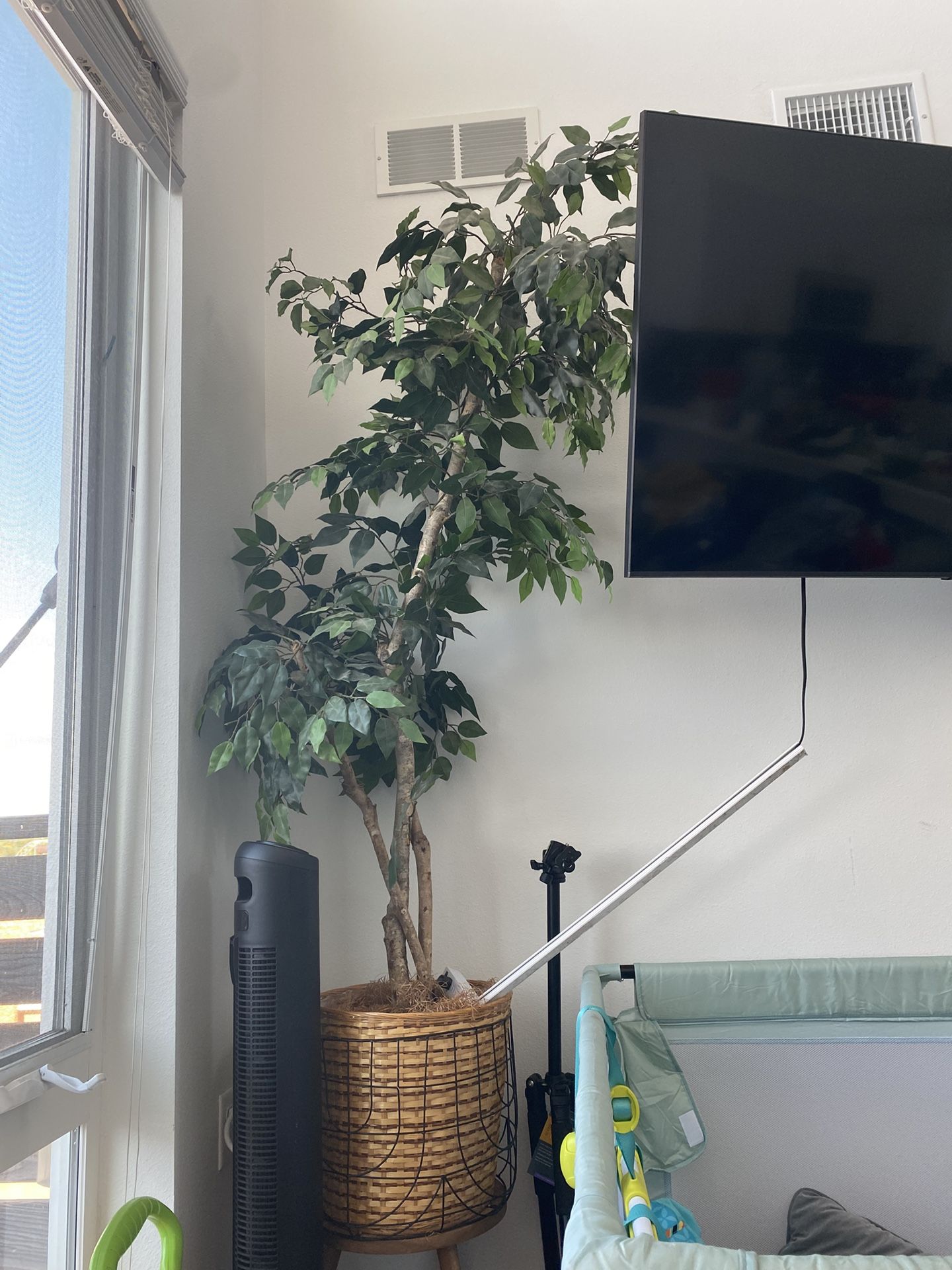 Tree Plant
