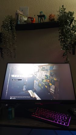 Samsung 240hz monitor