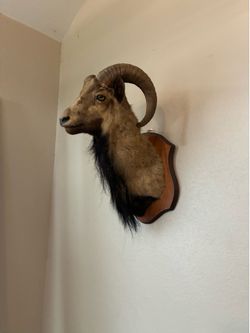 Two GORGEOUS COUNTRY WALL DECOR..200 and 150 each one