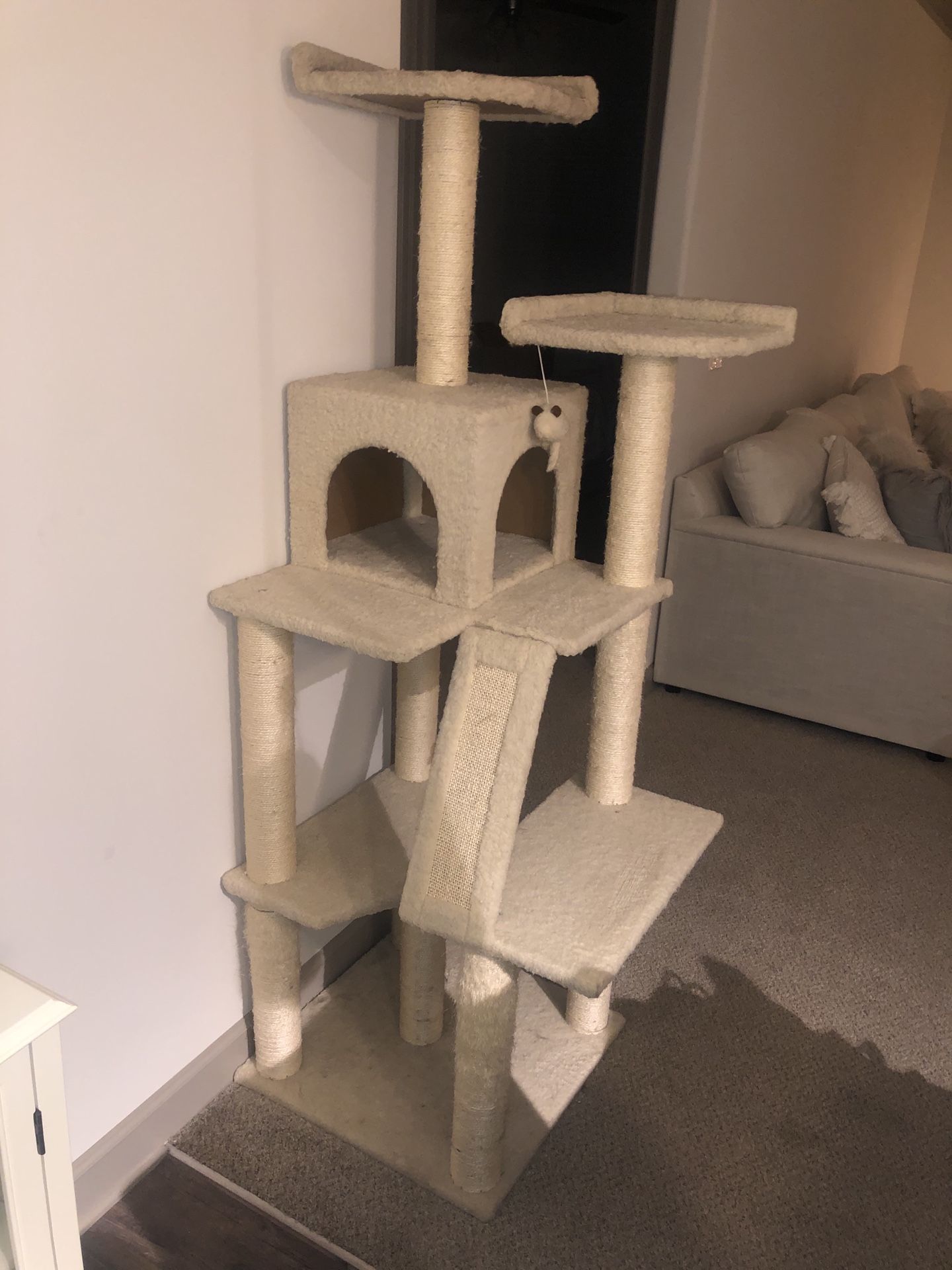 Cat Condo