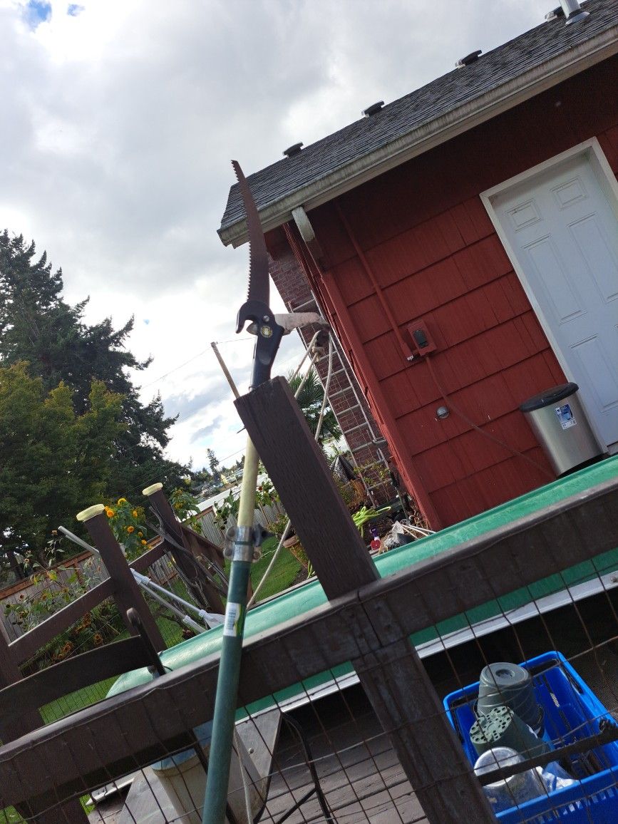Pole Saw