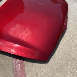 2024 Cadillac Hood Oem Parts 