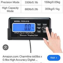 Electronic Scale
