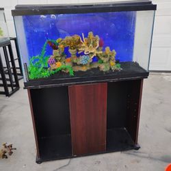 40 Gallon Aquarium With Stand 