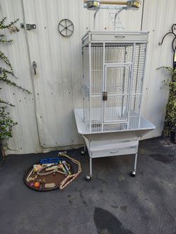 Bird Cage