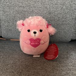 Chloe Valentine’s day Poodle Squishmallow