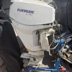 Evinrude Outboard E-Tec 25hp 