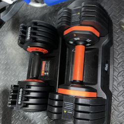 55lb Dumbbells