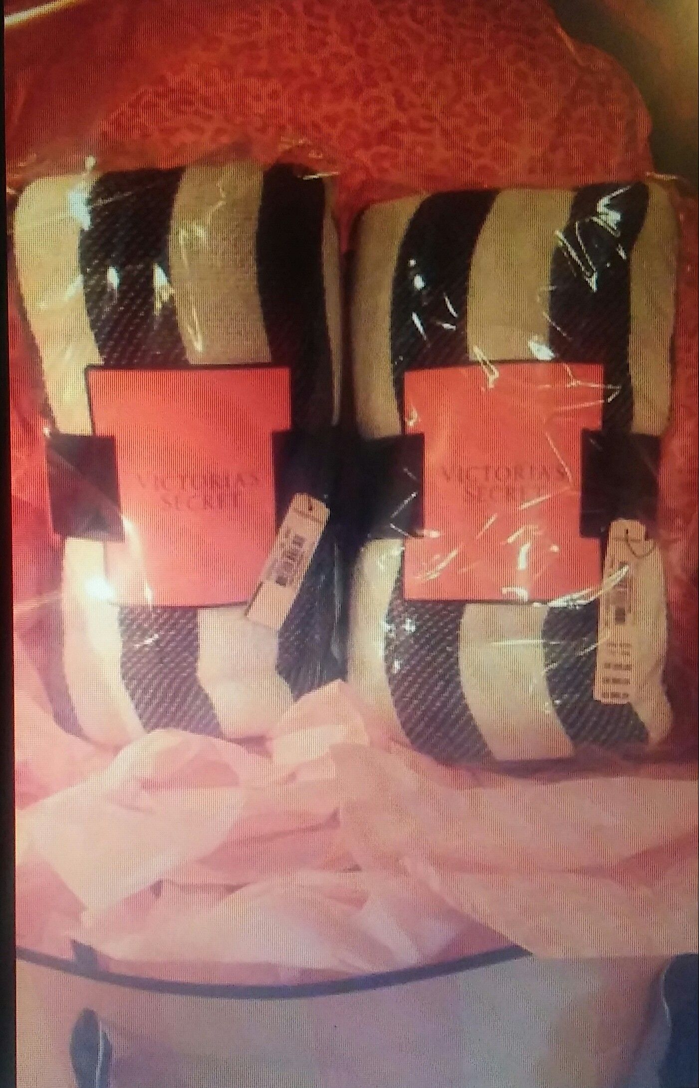 Victoria's Secret blanket.