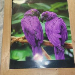 Purple Parrots