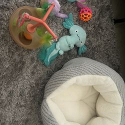 Cat Bed & Toys