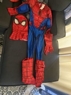 Medium size Spider-Man costume