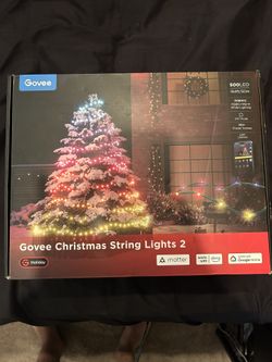 Govee Christmas String Lights 2 164 Feet
