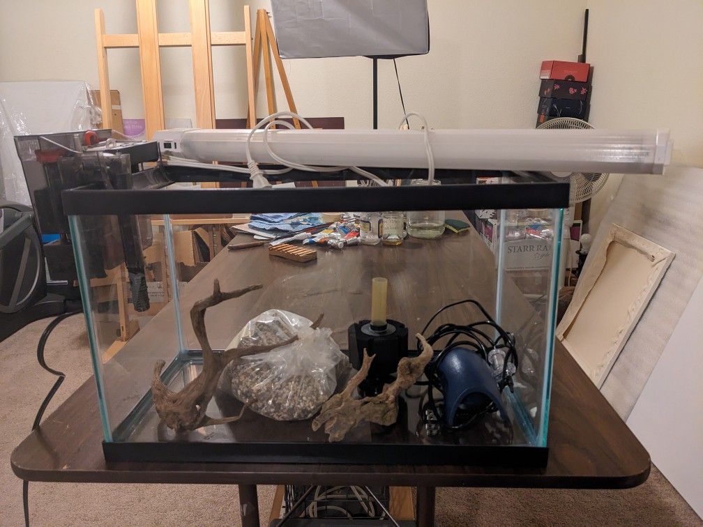 Fresh Water Aquarium Set Up
