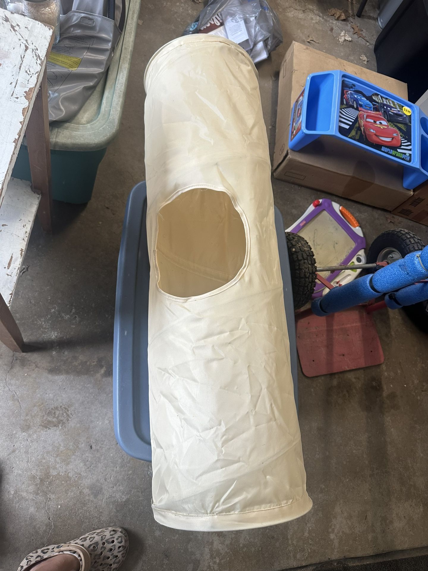 Cat Tunnel