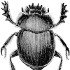 KHEPRI