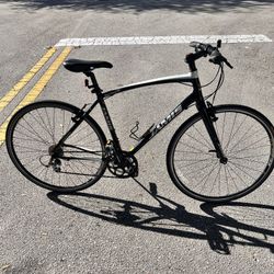 Jami’s Allegro 3 Bike