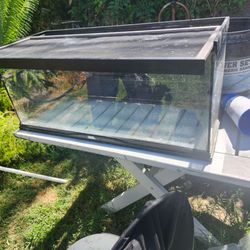 Reptile tank