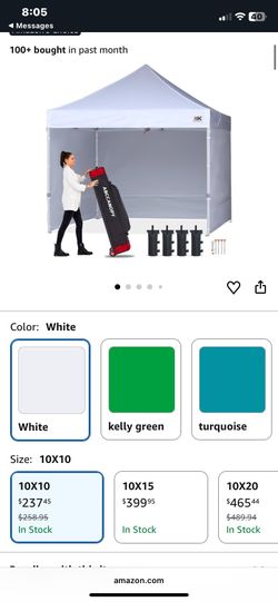 Canopy With 4 Walls