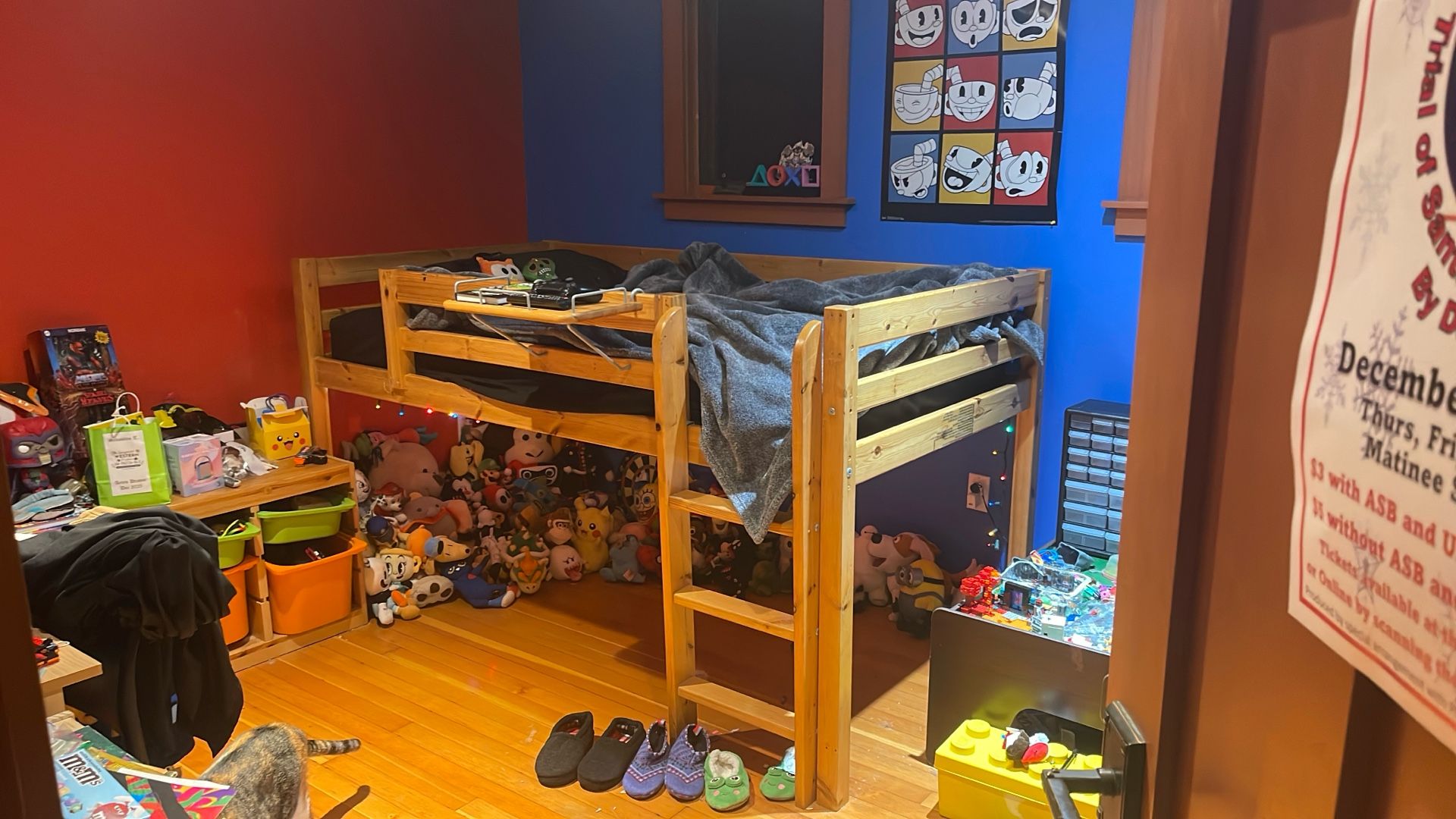 Twin Sized Loft Bed with Slide