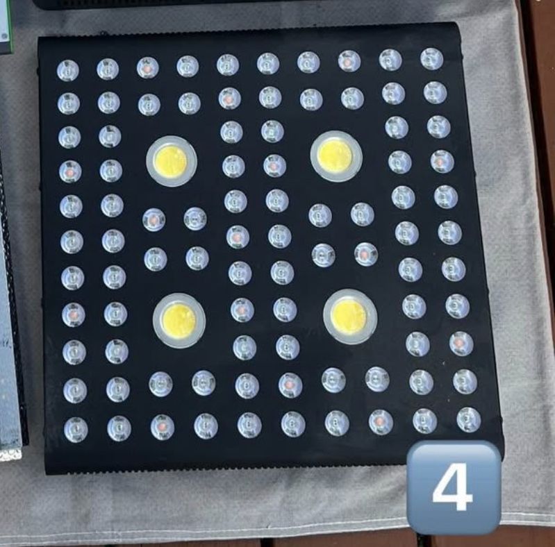 AGLEX Basically Brand New 200