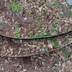 Golf Cart Leaf Springs