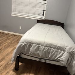 twin bed frane and two mattresses