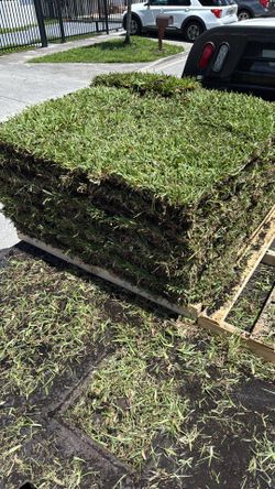 Sod For Sale Grade A Quality
