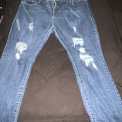 Plus Size Levi Jeans Sz 24