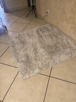 Carpet / area rug