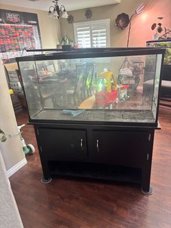 55 gallon fish aquarium show tank