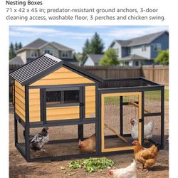 Chicken Coop 