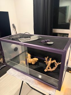 Phailozoo Reptile Enclosure terrarium + Heat Mat, Hygrometer & Decor