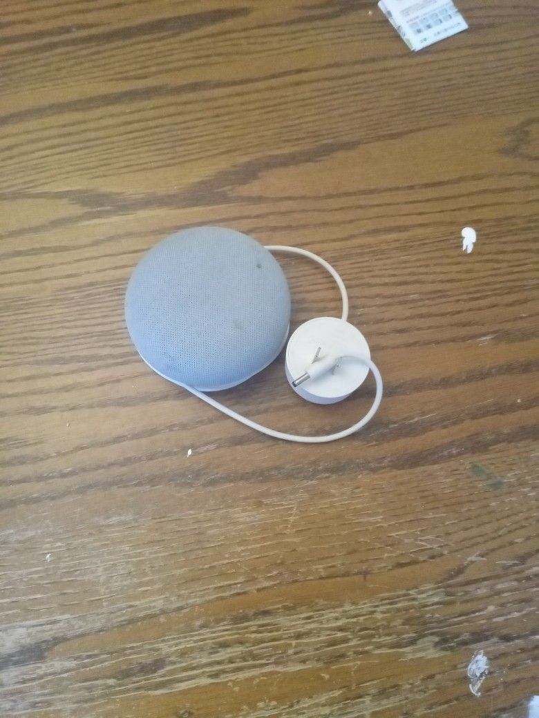 Google Home/ Alexa