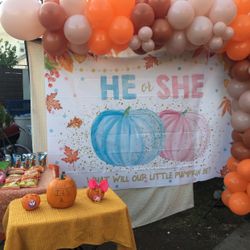Gender Reveal Balloon Garland 