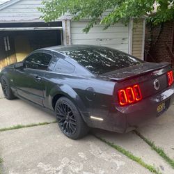 Mustang 2007 
