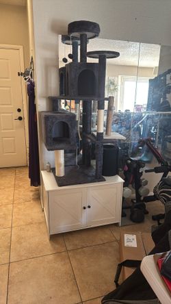 Casa Para Gato