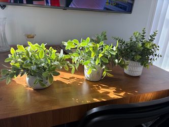 Set of 3 Faux Potted Plants