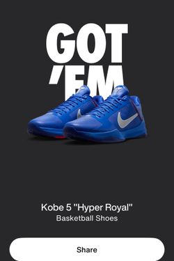 Kobe 5 hyper royal
