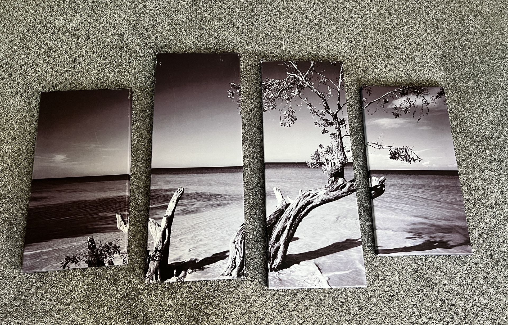 Moody Beach Canvas Art