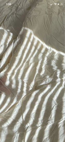 King size luxury Egyptian 100% down xomforter